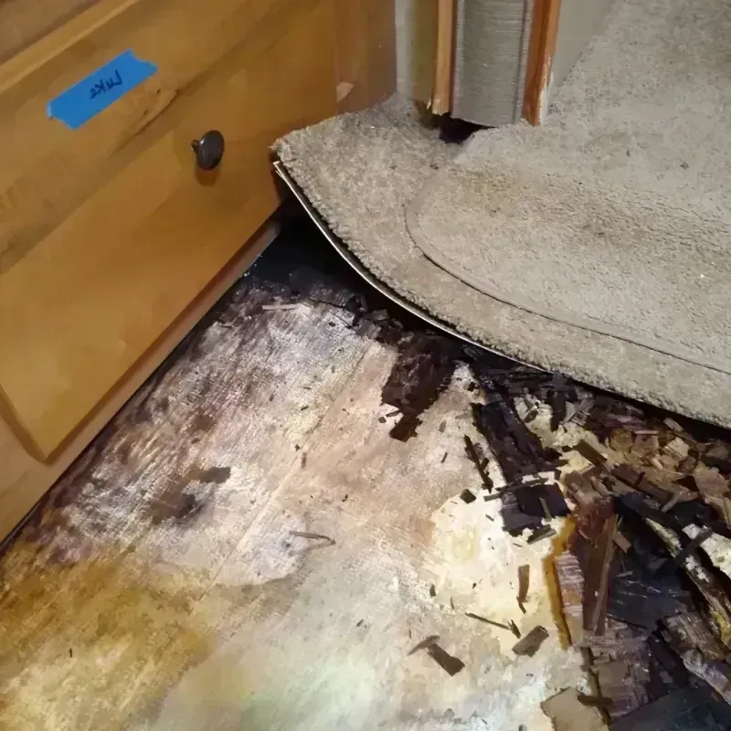 Wood Floor Water Damage in Manitou Beach-Devils Lake, MI